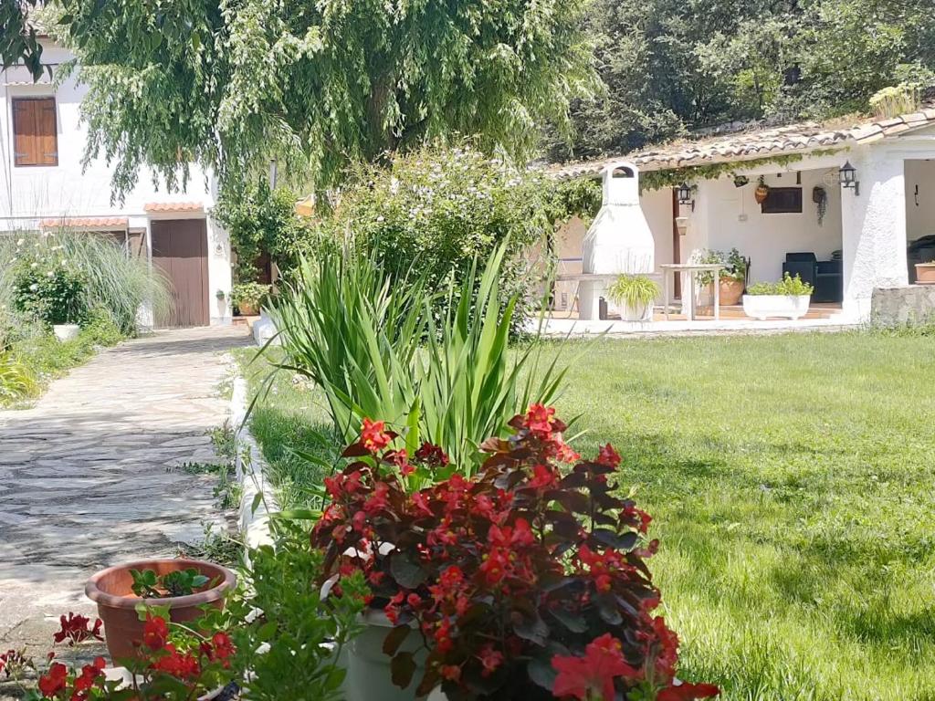 Comedor